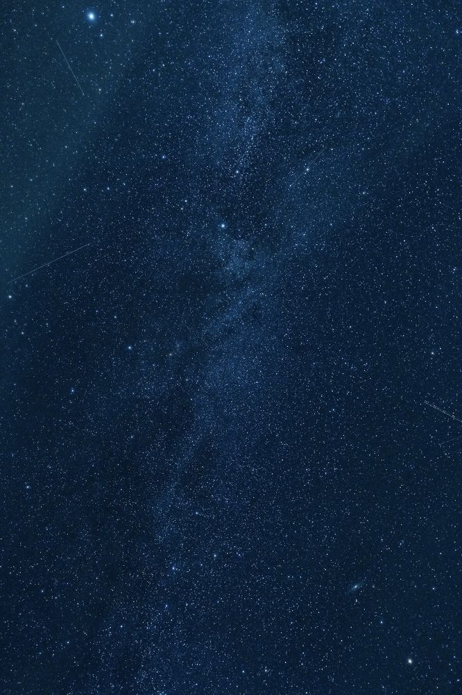 Photograph by Дарья Пысина