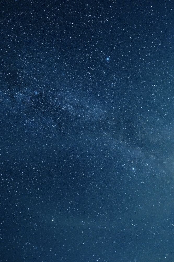 Photograph by Дарья Пысина