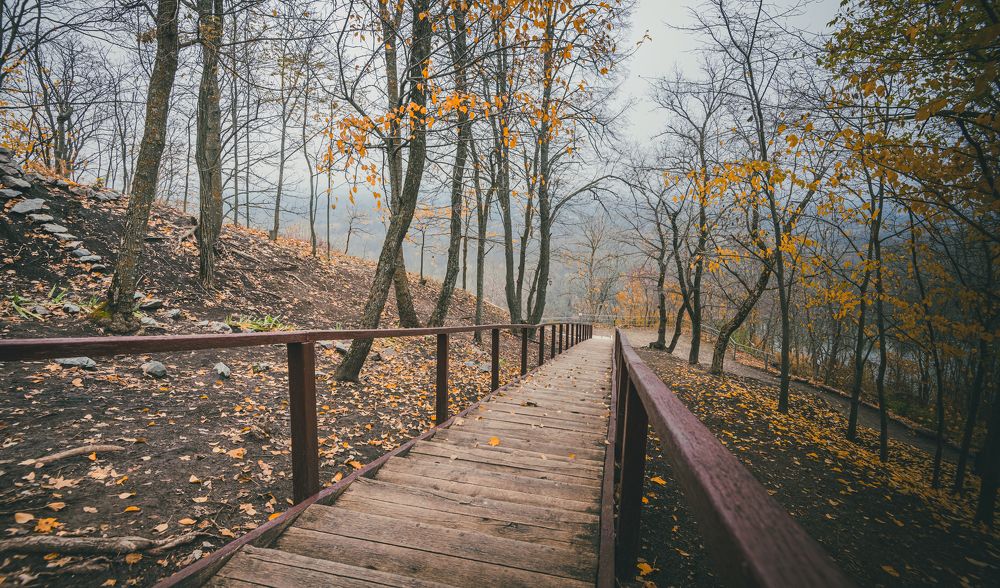 "Дорогами осени"