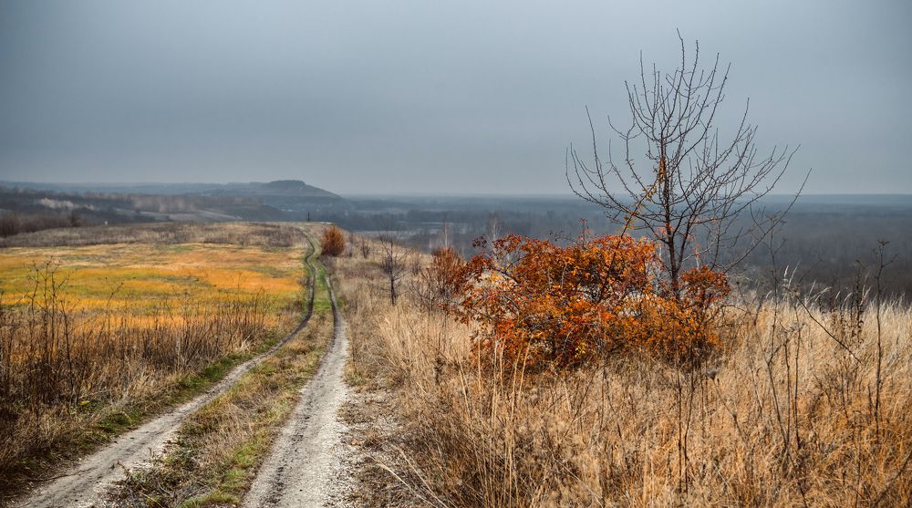 "Яркий ноябрь"