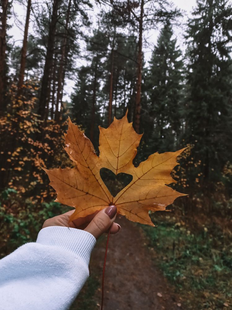 Фотография автора Елена Кичигина