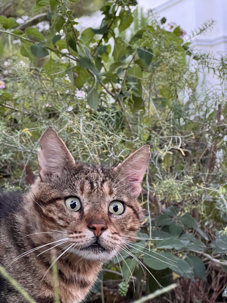 Photograph by Алексей Кикоть