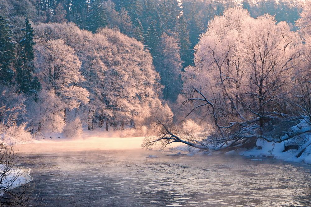 Photograph by Виктор Гурков