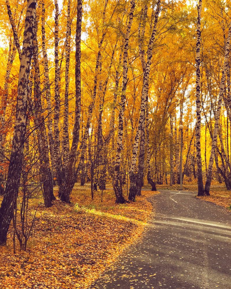 Photograph by Татьяна Волохова