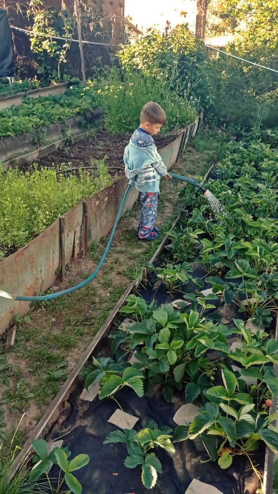 Фотография автора Анатолий Борисов