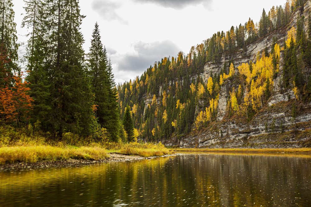 Фотография автора Каргин Валерий