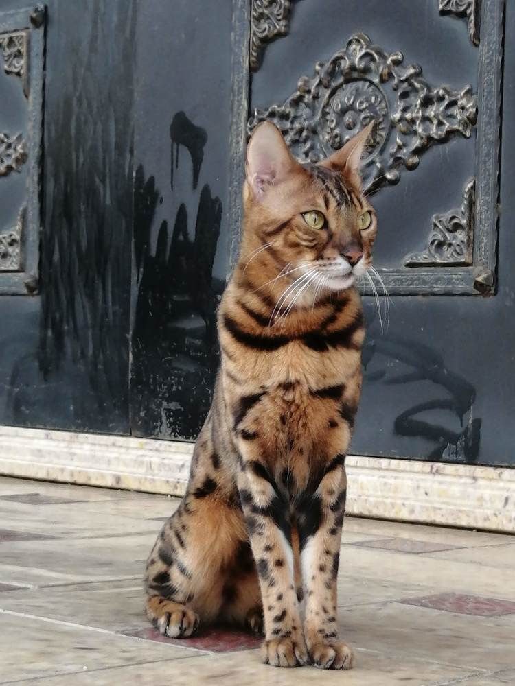 Photograph by Татьяна Ненюхина