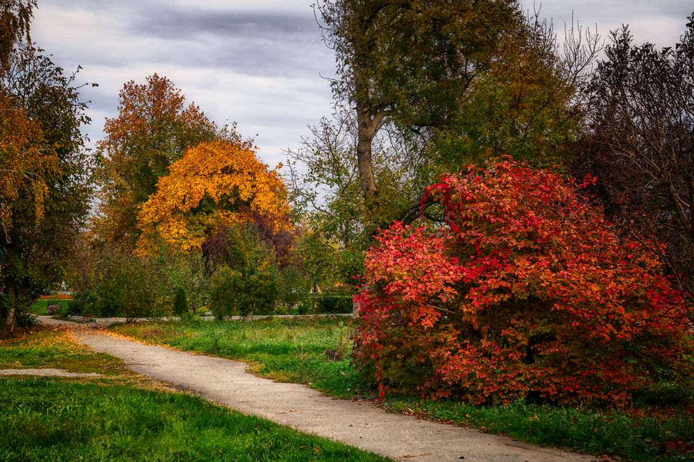 Photograph by Владимир Кваша