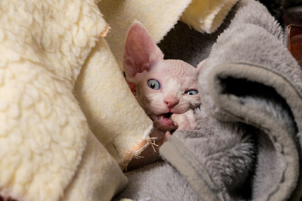 Photograph by Юрий Яковлевич