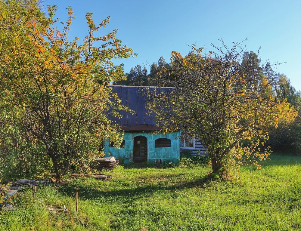 Photograph by Мария Андреева