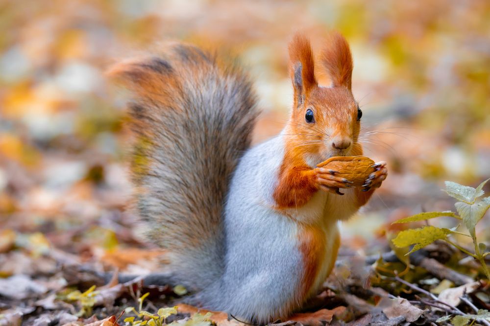 Photograph by Чудинин Дмитрий