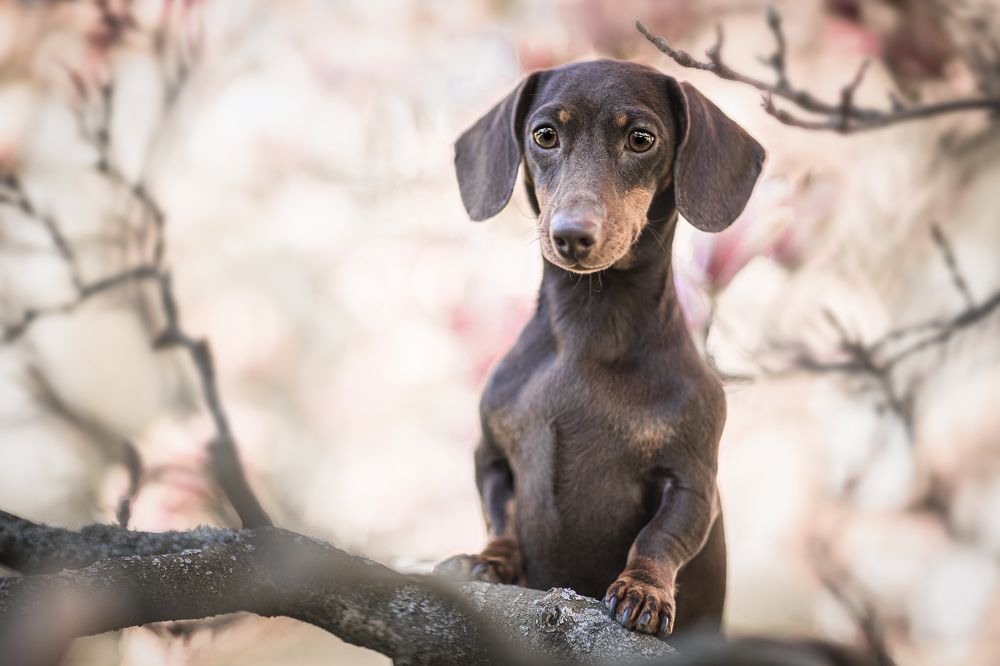 Photograph by Nikol Kopp