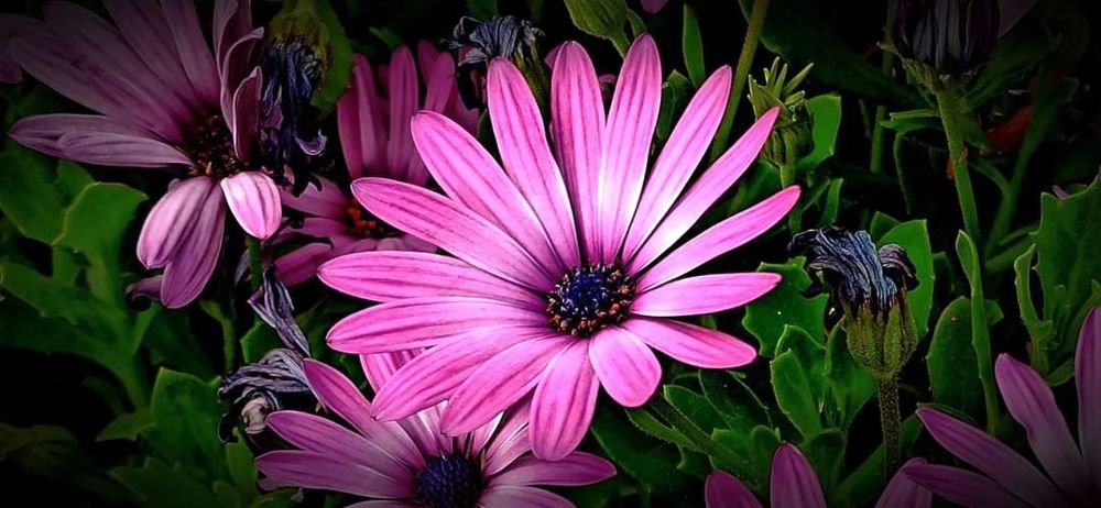 Photograph by Myrsini Charalampidou