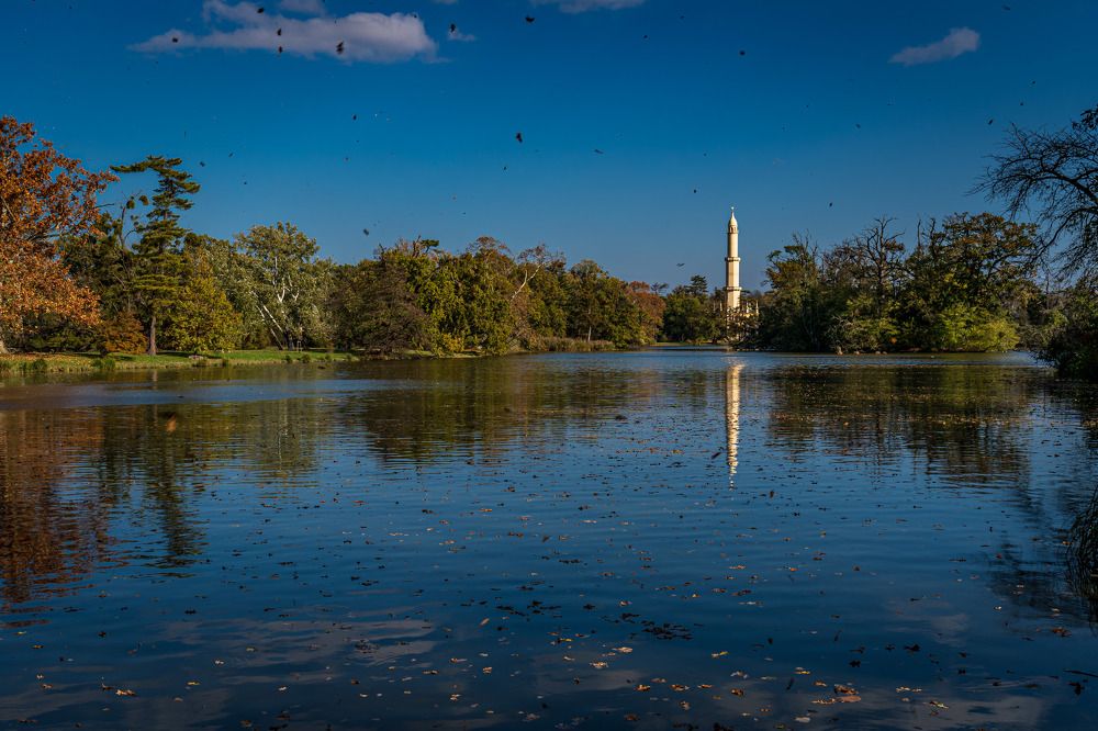 Фотография автора Michal Nega