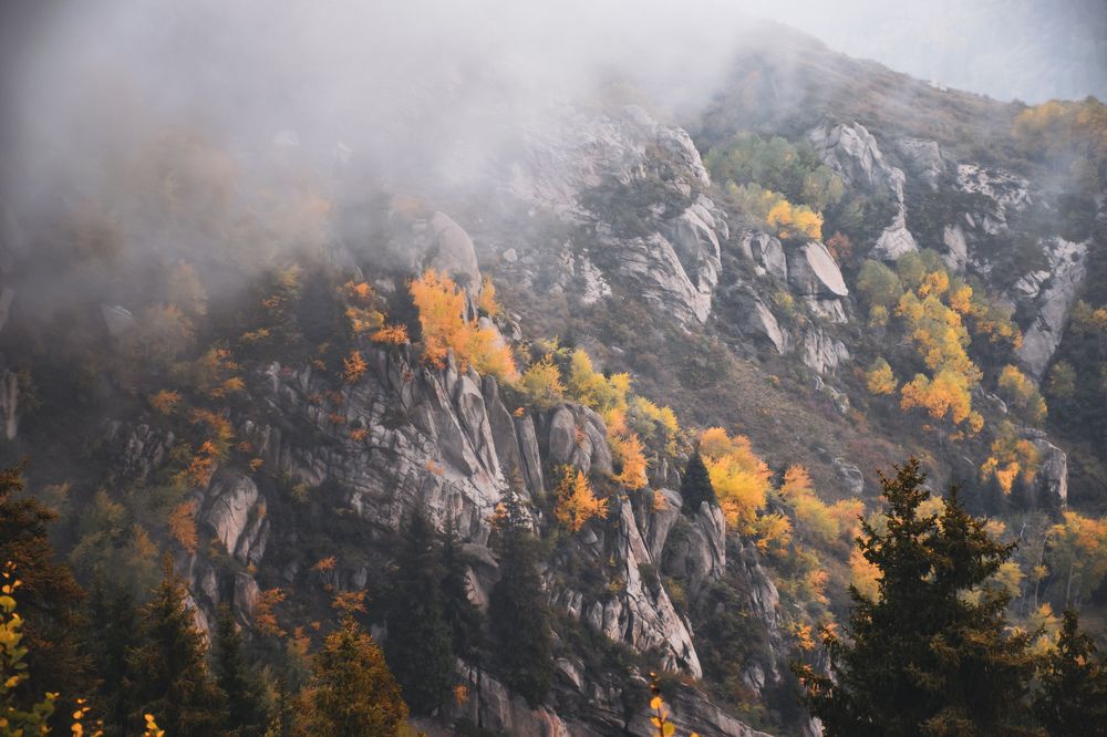 Фотография автора X Fedeeng