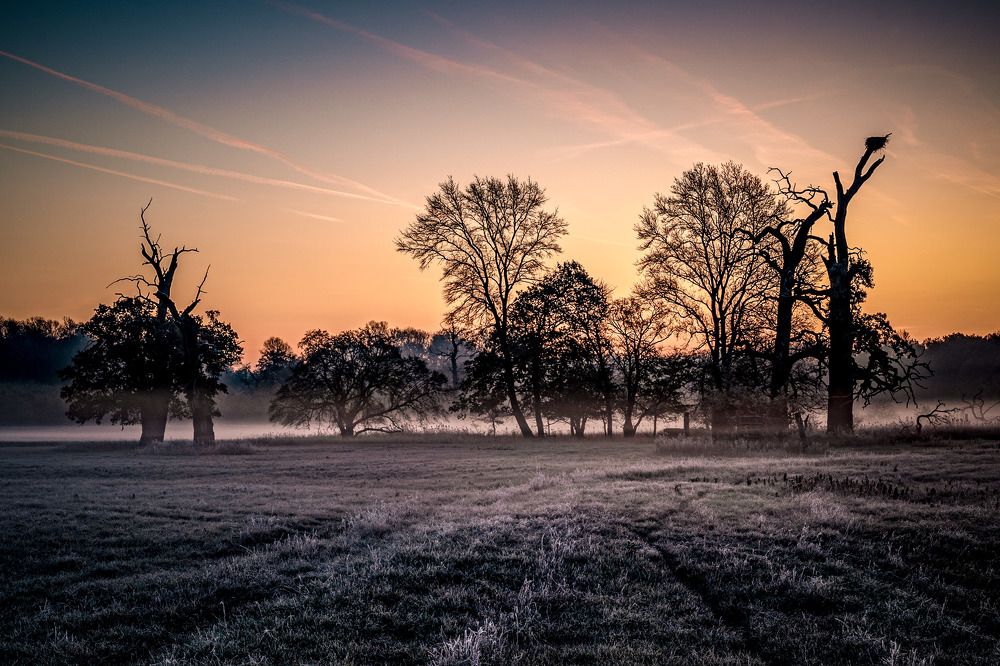 Фотография автора Michal Nega