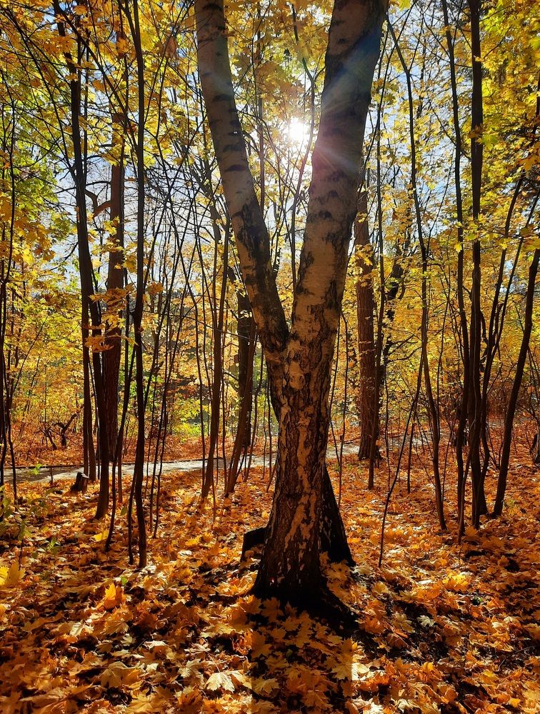 Photograph by Татьяна