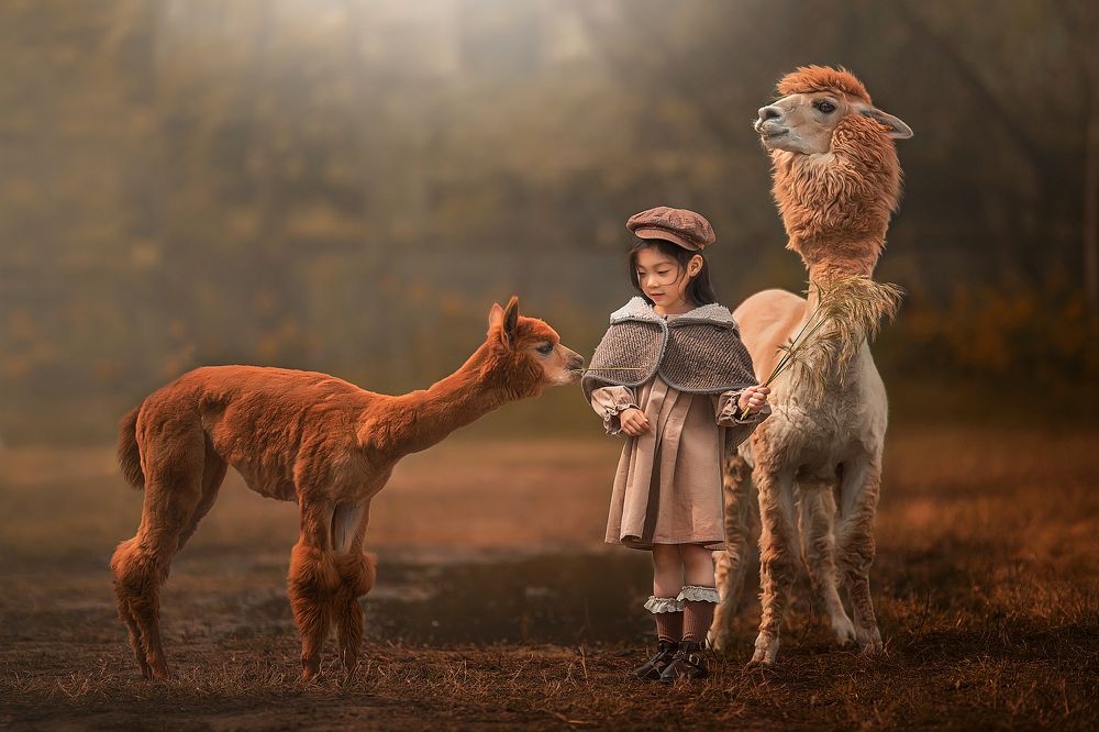 Photograph by  姚文琦