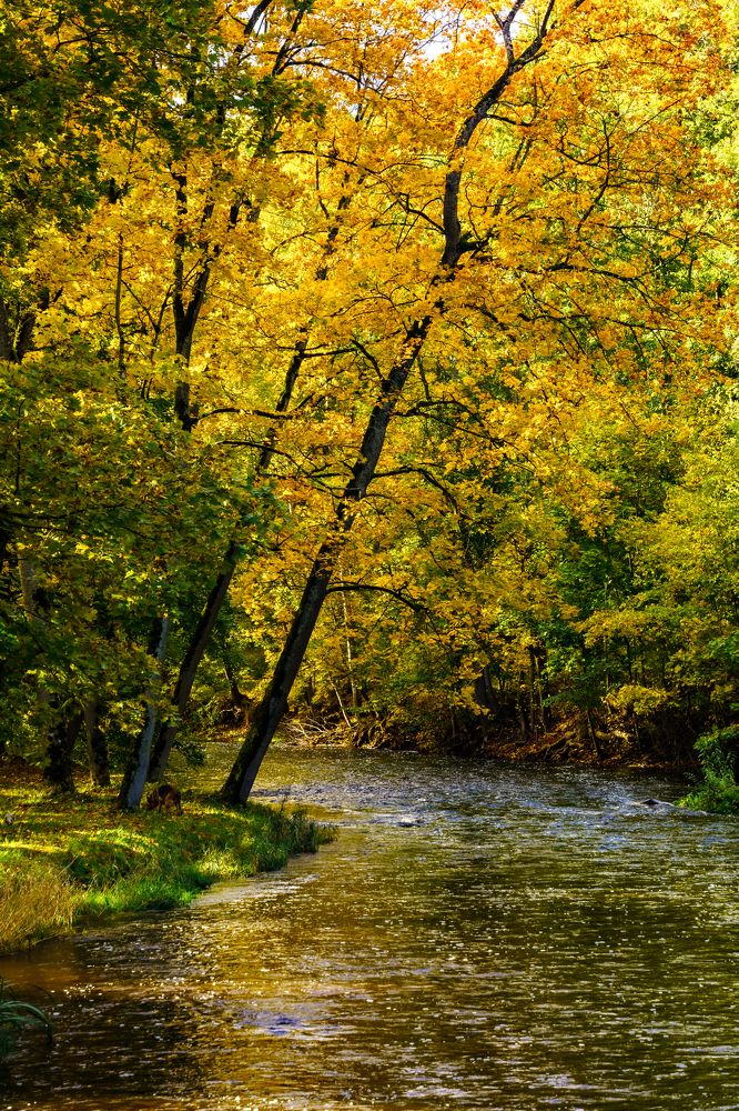 Photograph by Valdis Serzhans