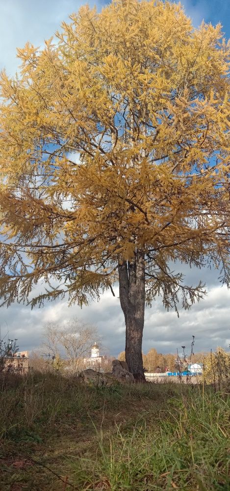 Photograph by Светлана Васильева