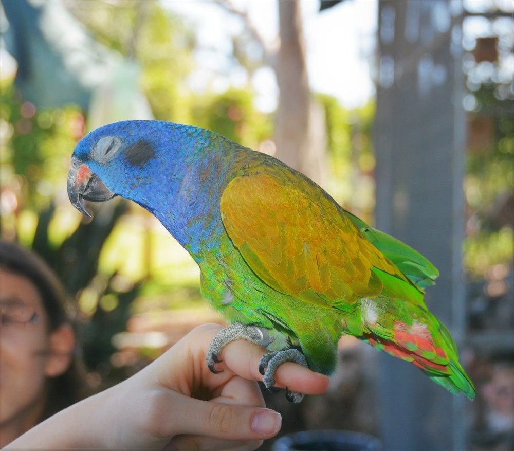 Фотография автора Ася Бабушкина