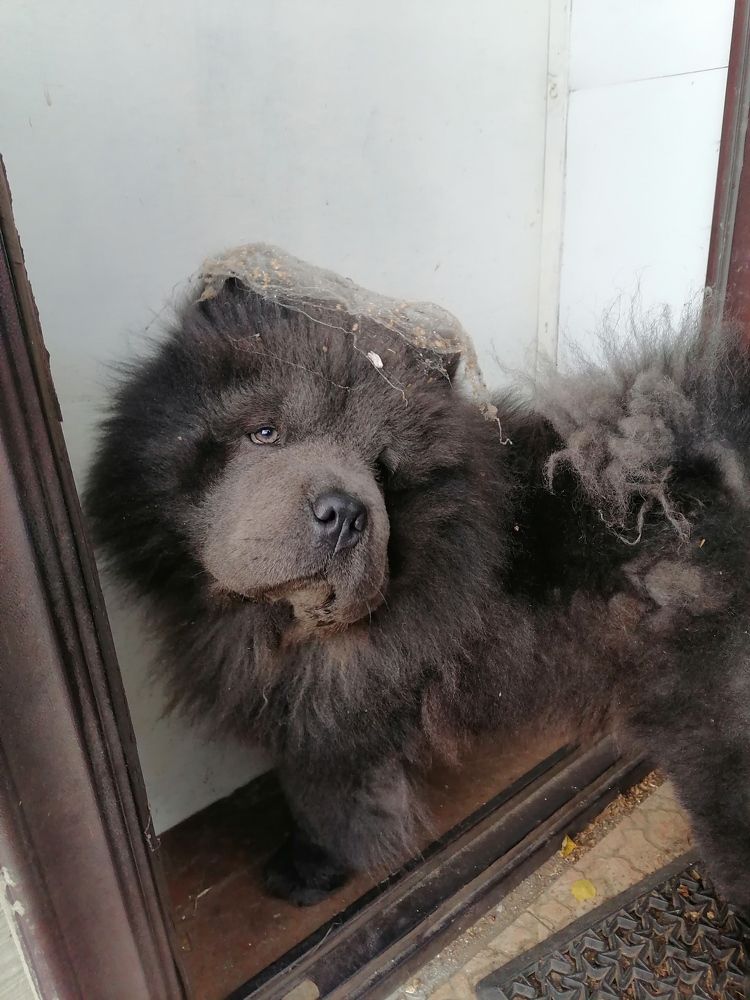 Фотография автора Анастасия Зверева