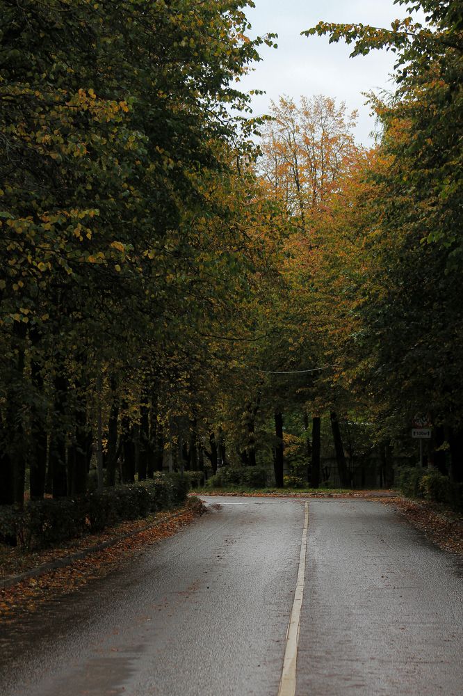 Photograph by Анастасия Псарёва