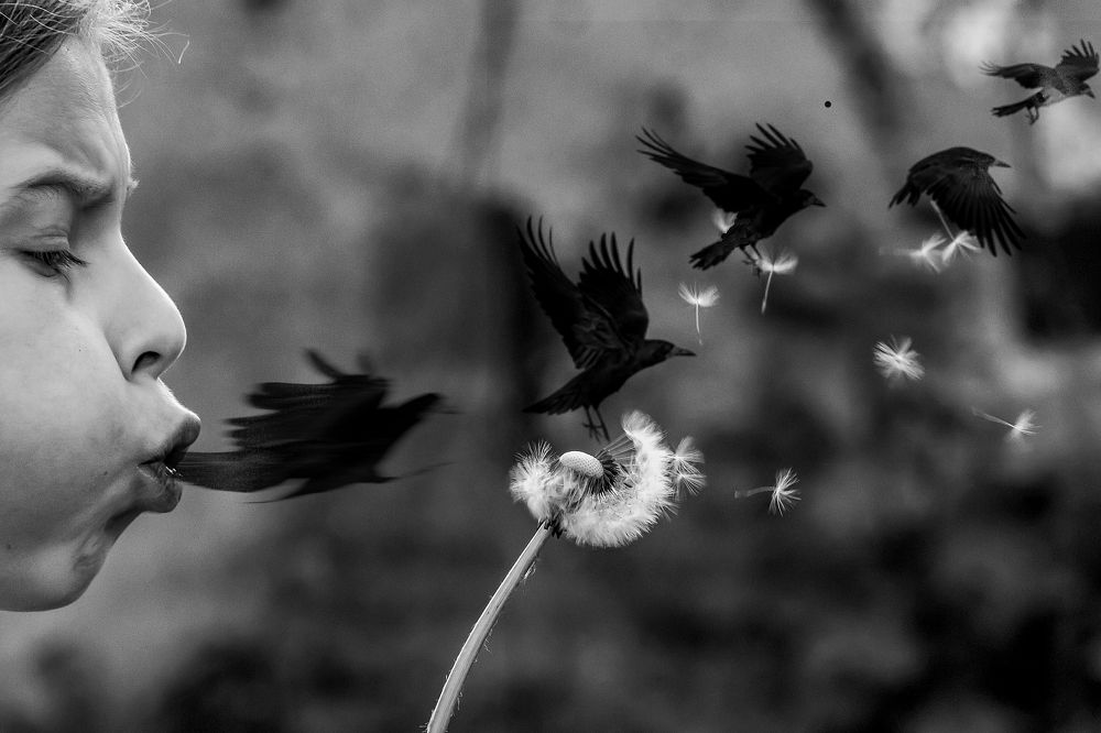 Photograph by DAN CIUPUREANU