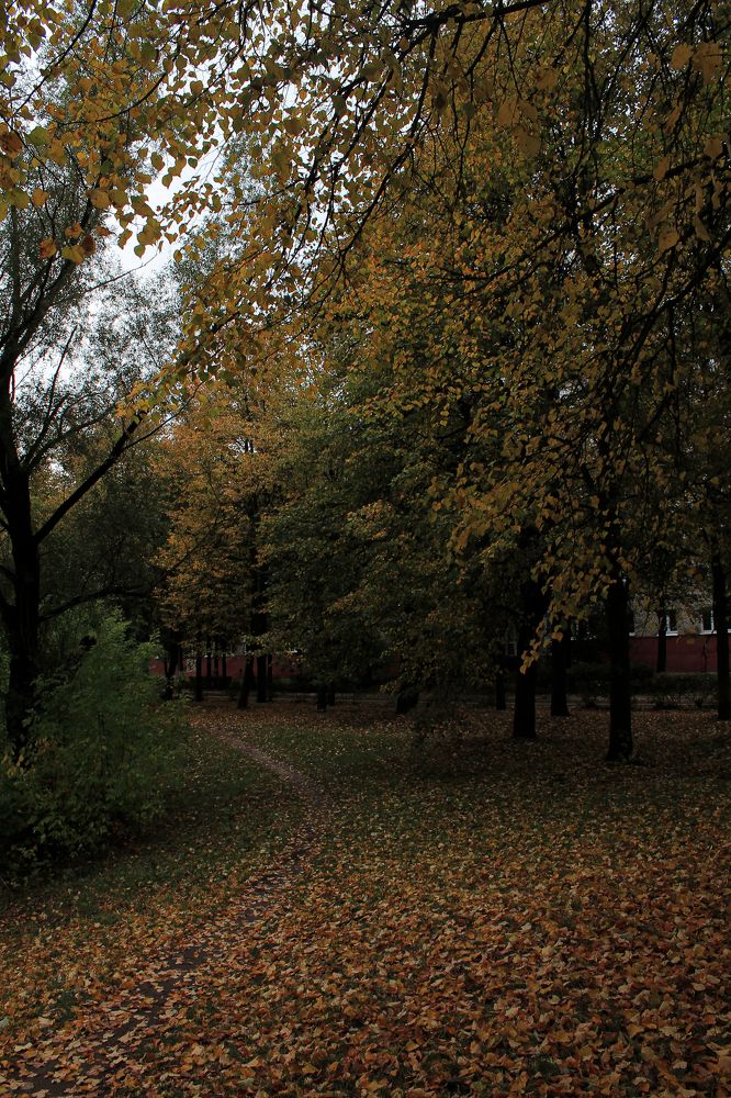 Photograph by Анастасия Псарёва