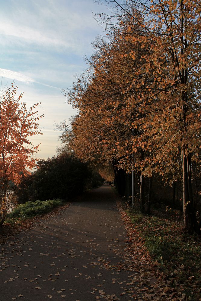 Photograph by Анастасия Псарёва