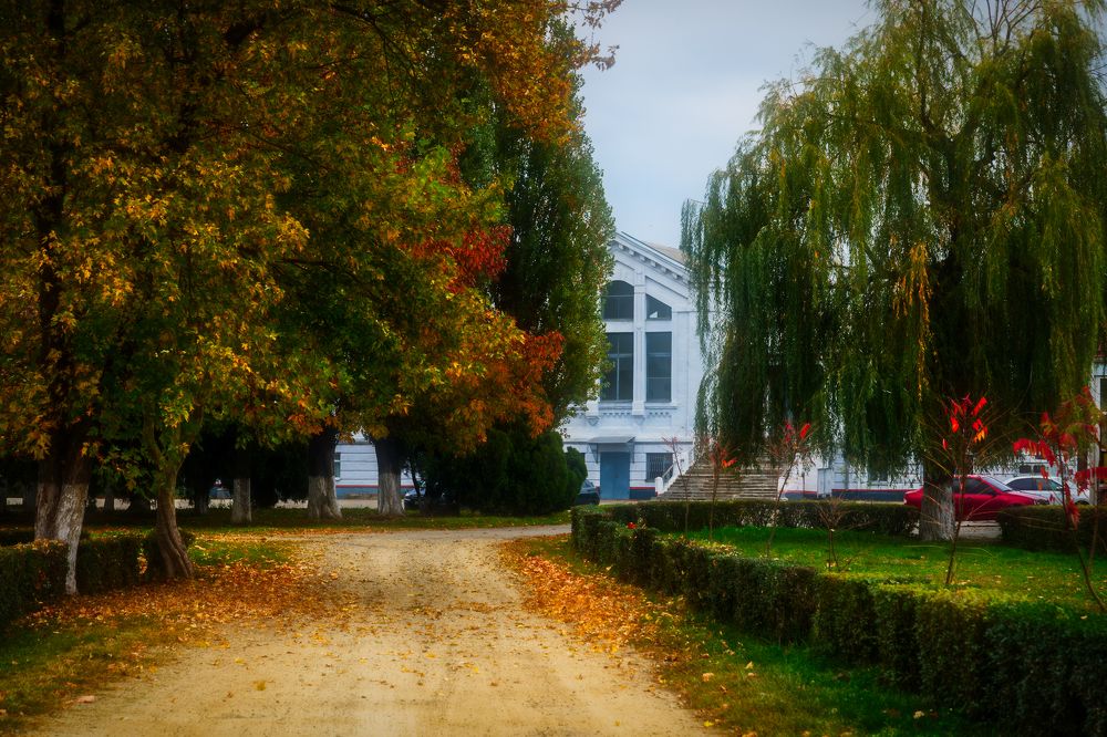 Photograph by Владимир Кваша