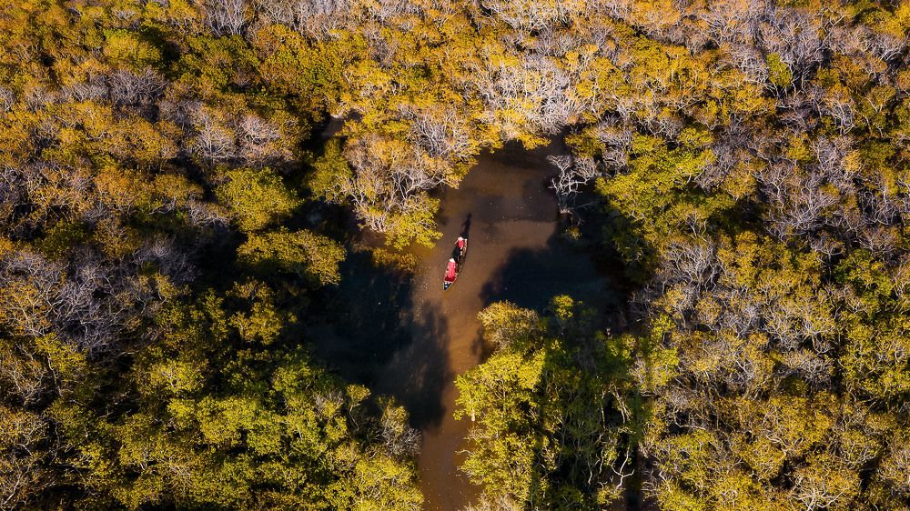 Фотография автора Dao Ngoc Canh