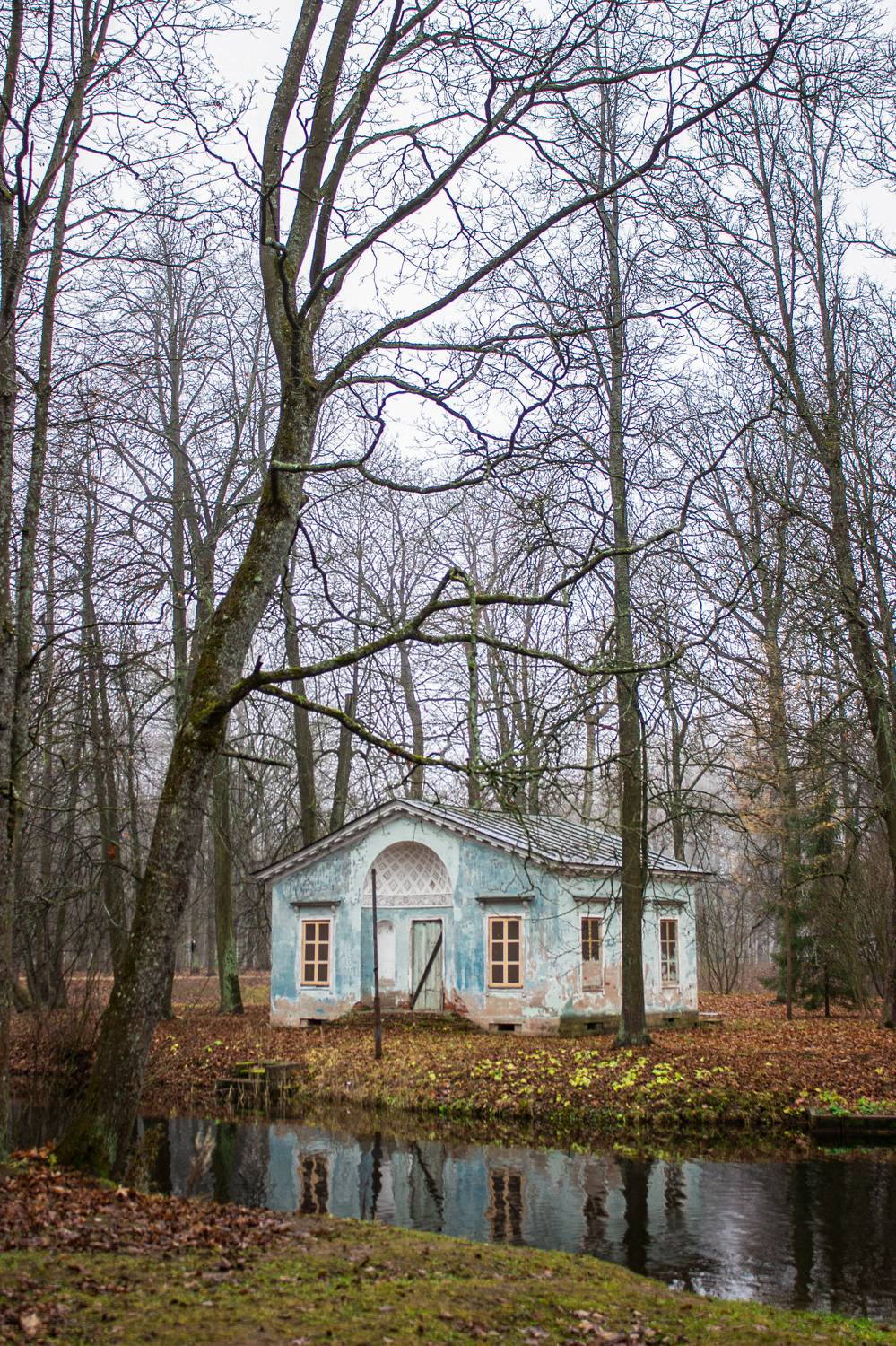 Photo #9701125