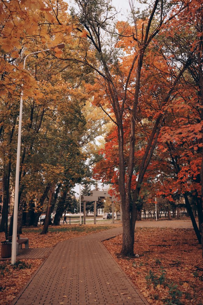 Photograph by Ольга