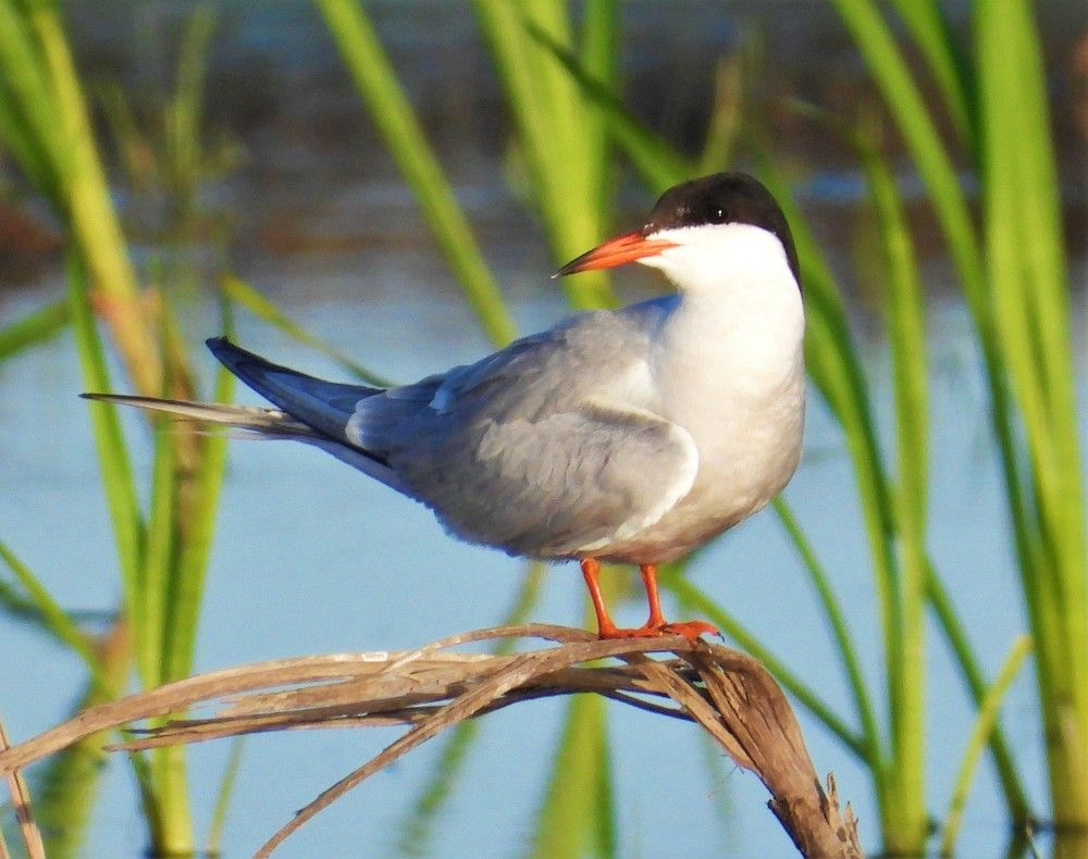 Photograph by Владимир Джерихов