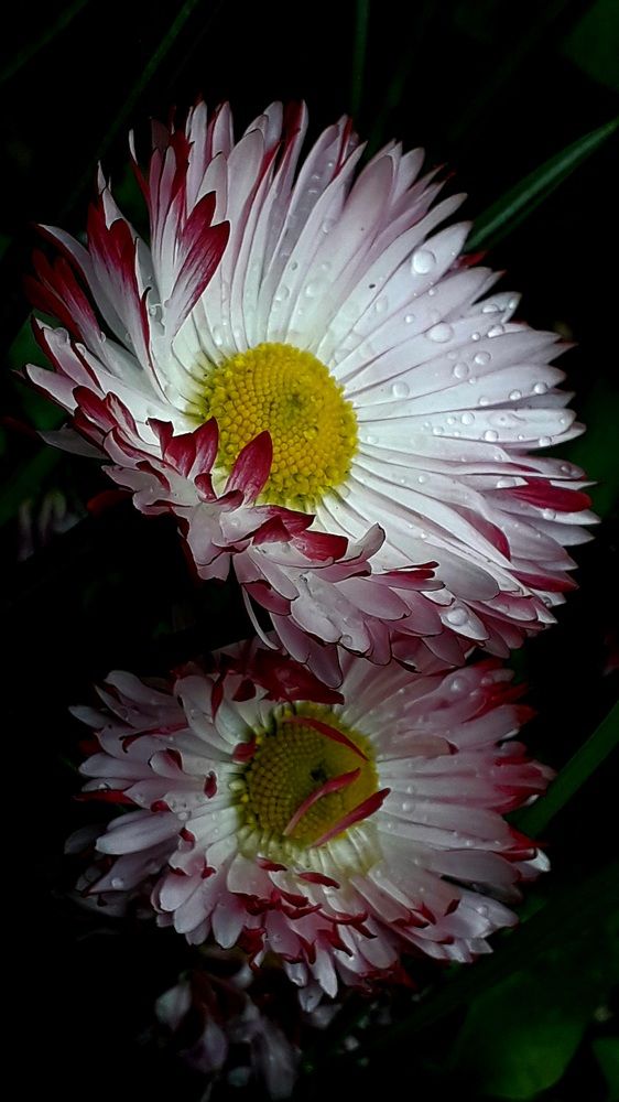 Photograph by Татьяна Солтан