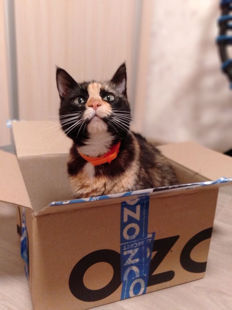 Фотография автора Наталья