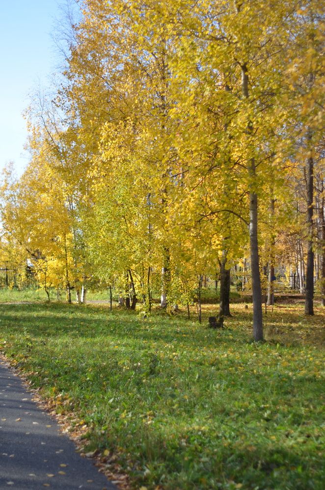 Photograph by Анна Морозова