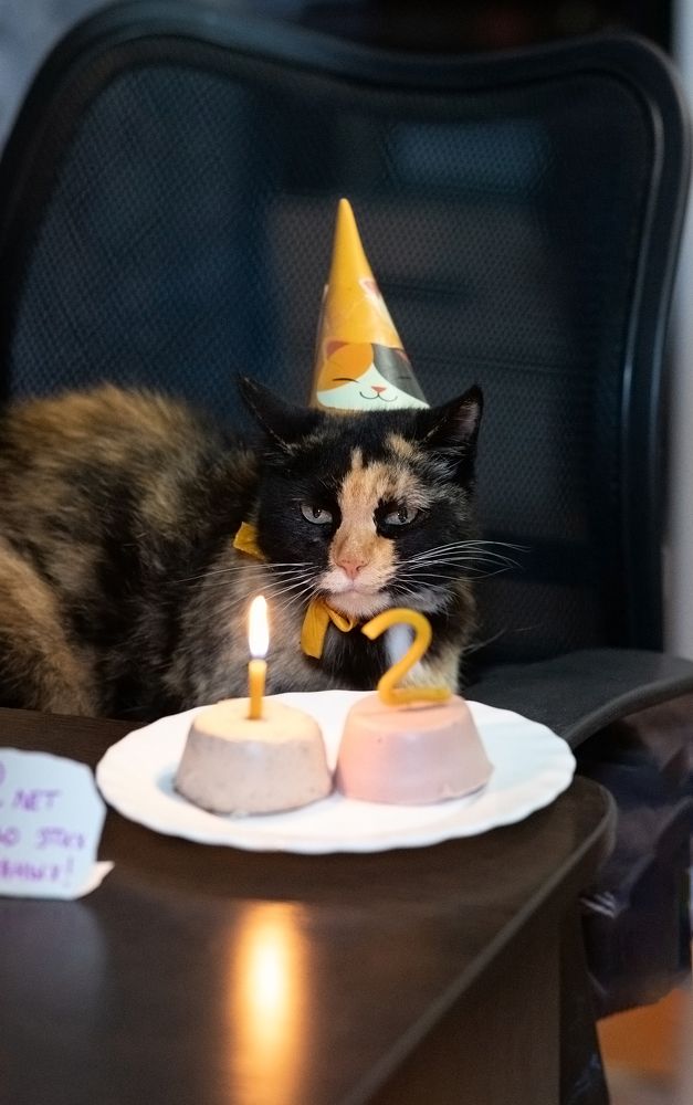 Фотография автора Наталья