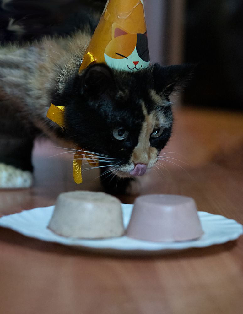 Фотография автора Наталья