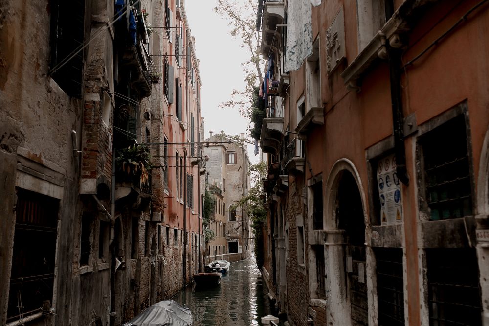 Photograph by Павел Щекин