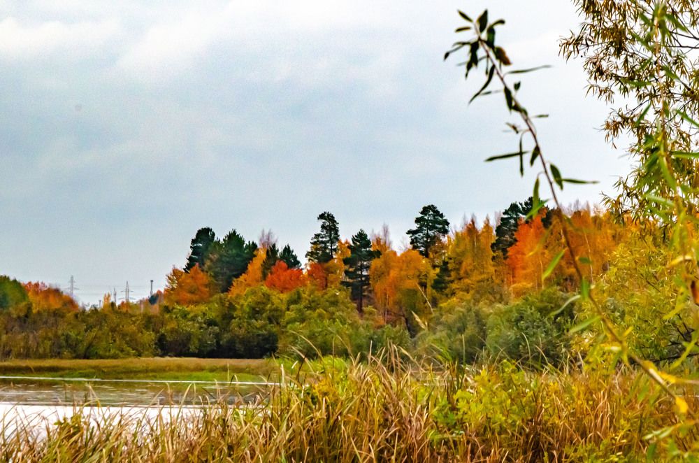 Photograph by Анна Морозова