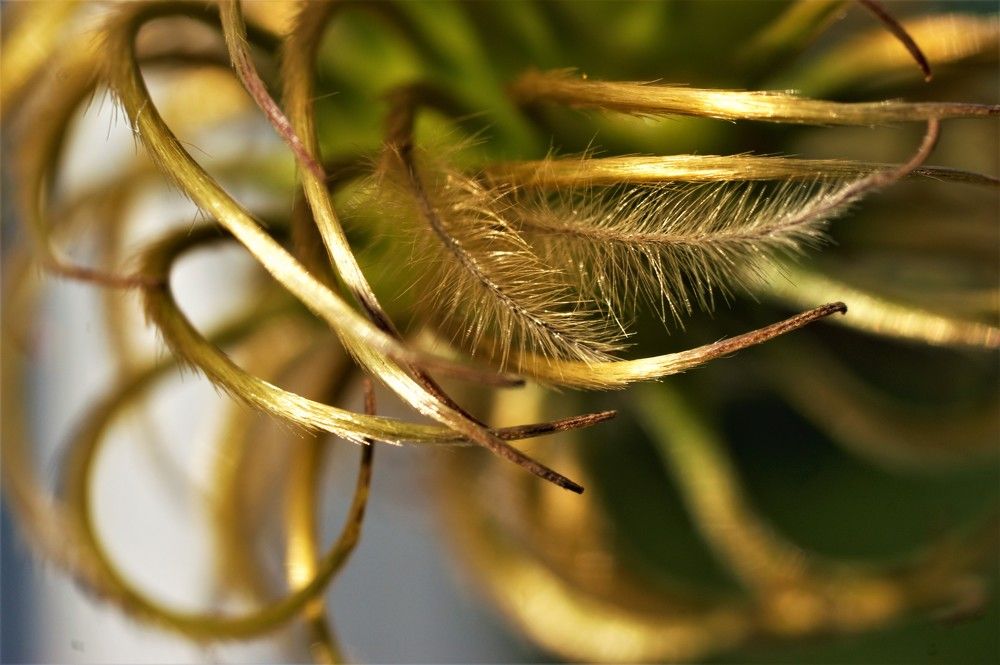 Photograph by Марина Моссий