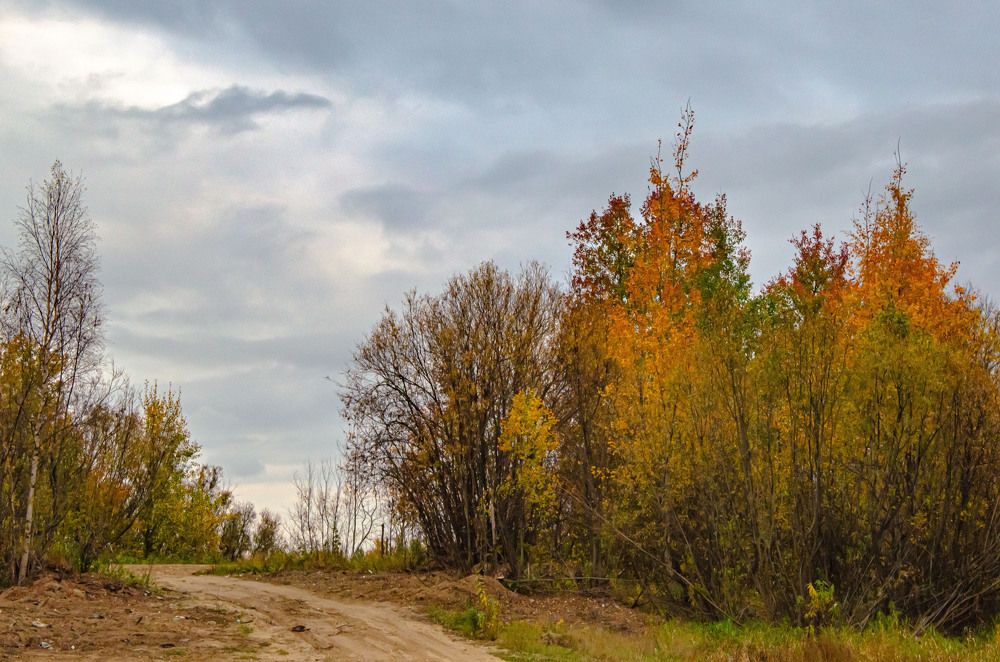 Photograph by Анна Морозова