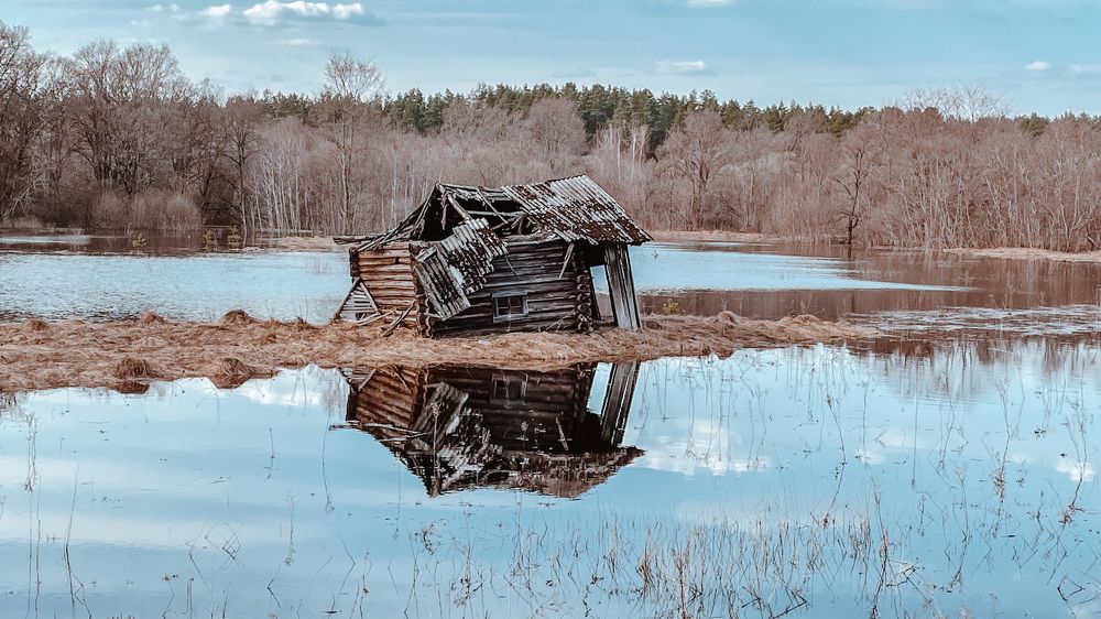 Photograph by Олеся Шипихина