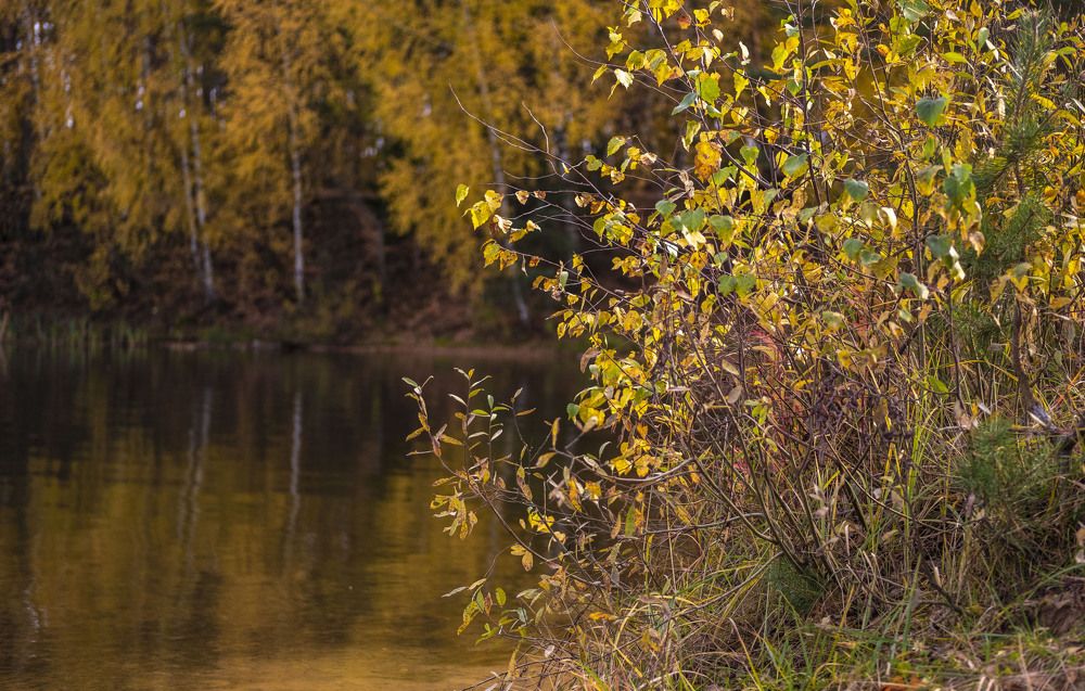 Photograph by Анна Панеева