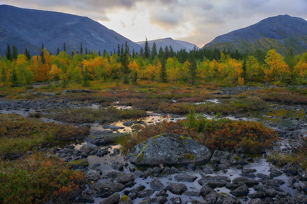 Photograph by Андрей Ростовцев
