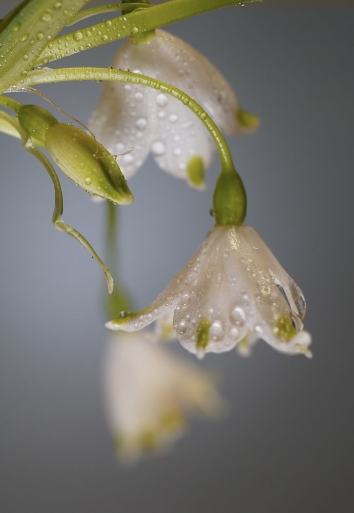 Photograph by Ekaterina Konnova