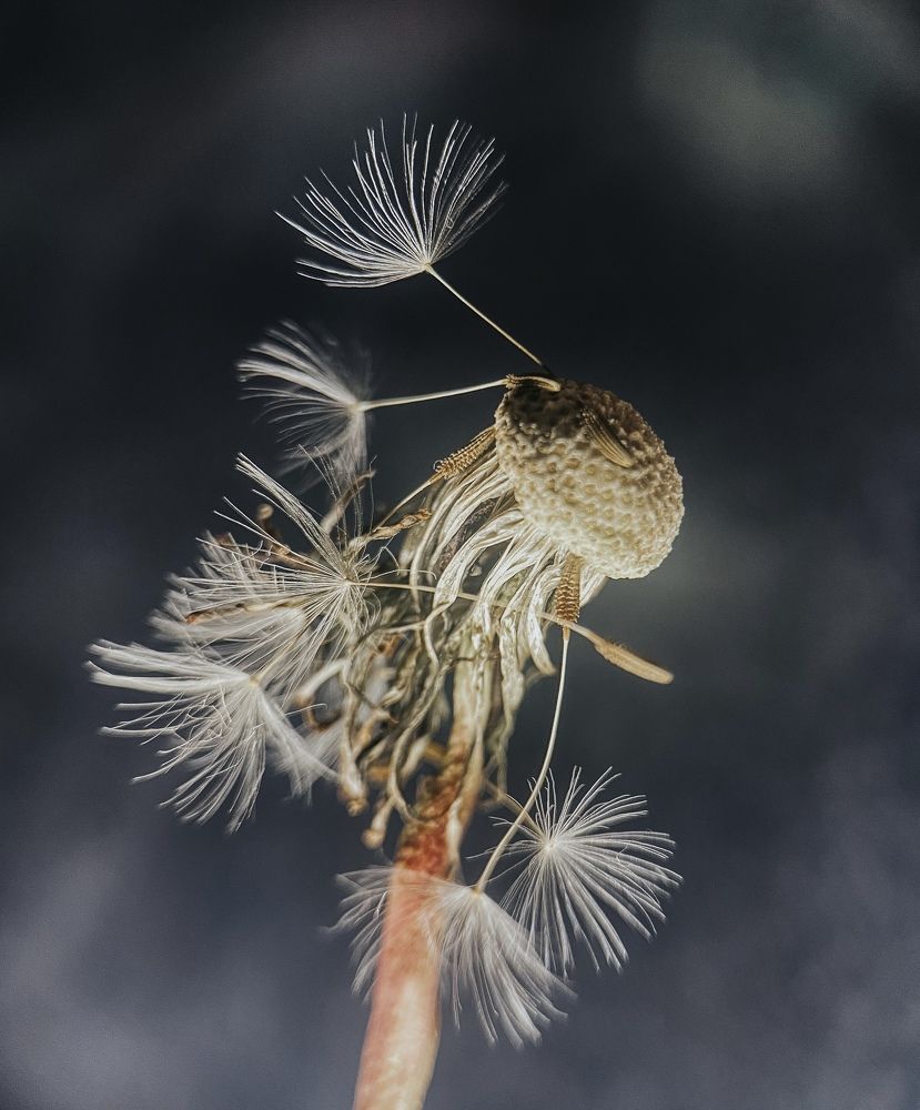 Photograph by Ekaterina Konnova