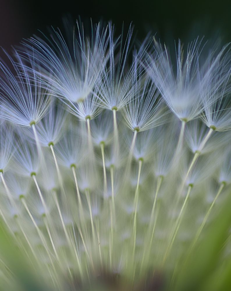 Photograph by Евгения Прокопович